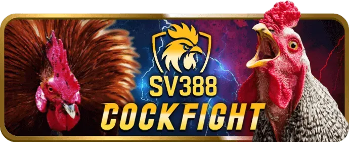 Giao diện sảnh đá gà VND789